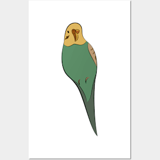 Green Budgie Posters and Art